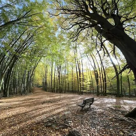 Am Kleinen Koenigsstuhl Daire
